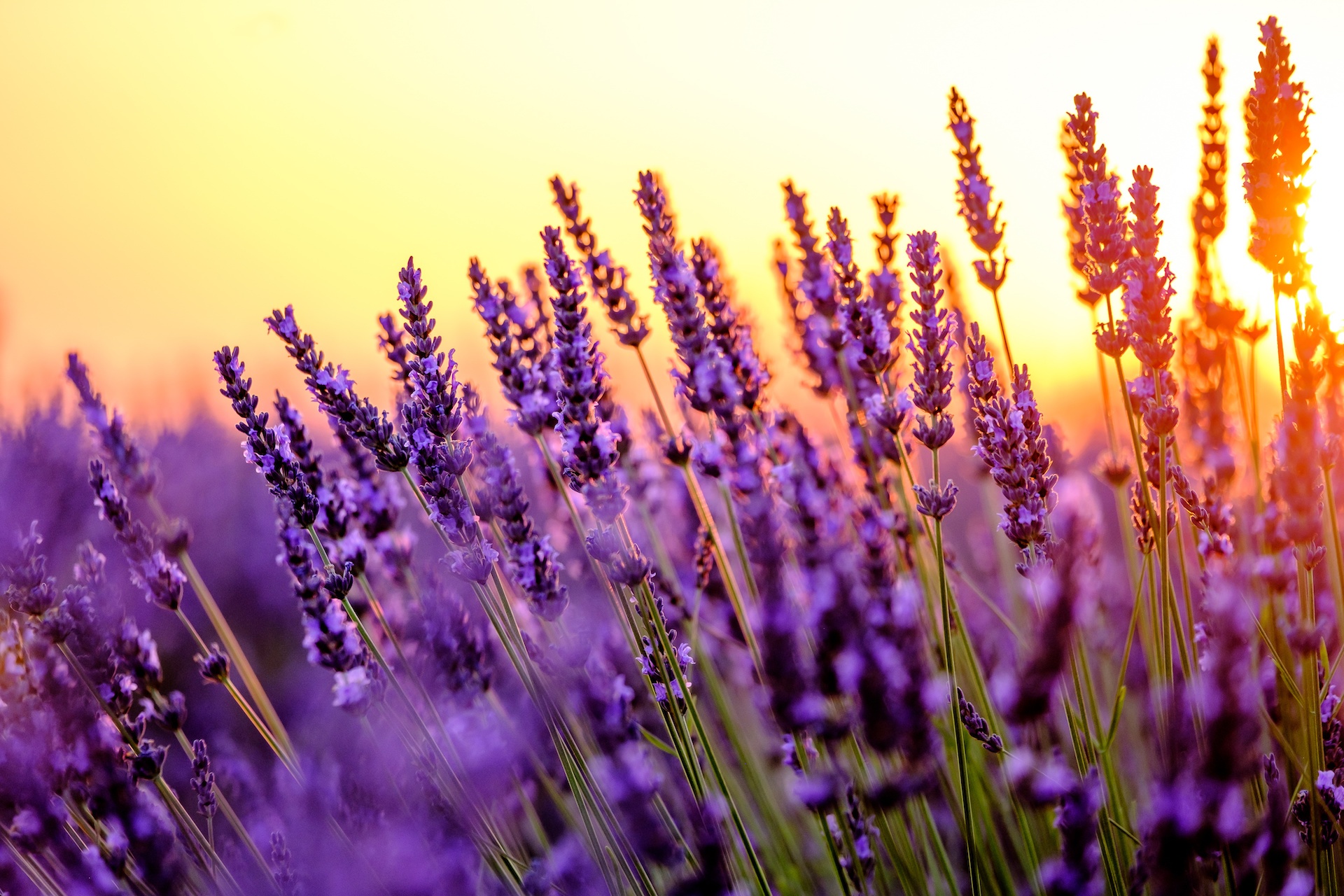 How to Self Soothe